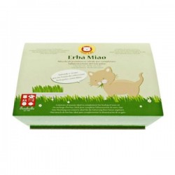 Erba Miao Cat Grass 