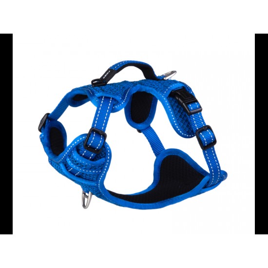 ROGZ EXPLORE HARNESS SMALL 16MM BLUE