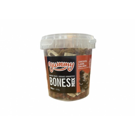 Yummy Λιχουδιές Εκπαίδευσης Bone Mix 500gr