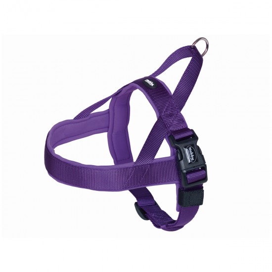 NOBBY CLASSIC PRENO PURPLE S-M 