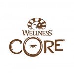 WELLNESS CORE