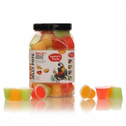 HappyPet Tweeter's Treats Fruity Jelly Pots 60