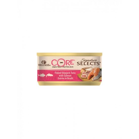 Wellness CORE Cat Signature Selects Τόνος-Σολωμός 79g