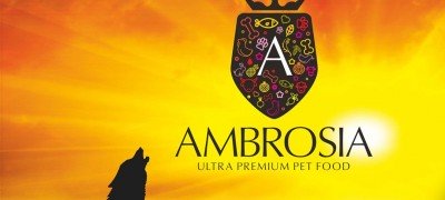 We ❤️ Love AMBROSIA