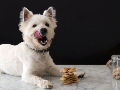 ΛΙΧΟΥΔΙΕΣ - ΜΠΙΣΚΟΤΑ  - ΣΝΑΚ