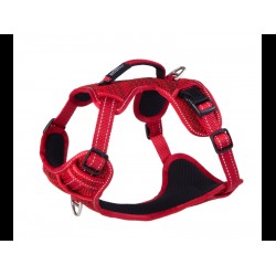 ROGZ EXPLORE HARNESS MEDIUM 20MM RED