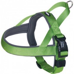 NOBBY CLASSIC PRENO GREEN S-M