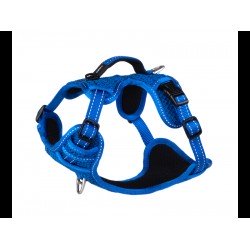ROGZ EXPLORE HARNESS SMALL 16MM BLUE