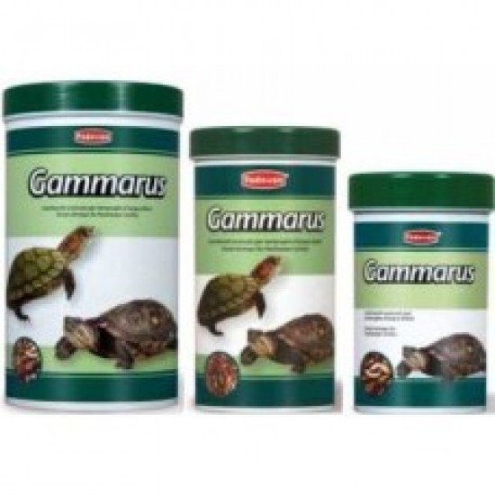 PADOVAN GAMMARUS ΓΑΡΙΔΑΚΙΑ ΓΙΑ ΧΕΛΩΝΕΣ 130G/1L PADOVAN GAMMARUS ΓΑΡΙΔΑΚΙΑ ΓΙΑ ΧΕΛΩΝΕΣ 130G/1L