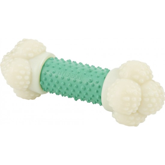 Nylabone Dura Chew Bacon Flavored Bone Dog Chew Toys