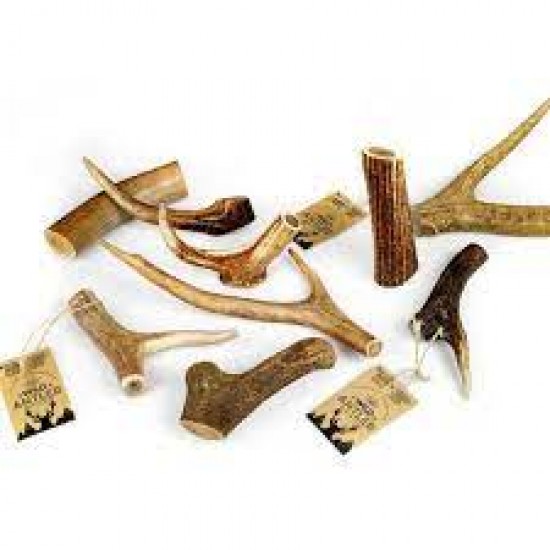 CELEBRATE FRESHNESS Κέρατο Red Deer Antler XX-Large 160-210gr